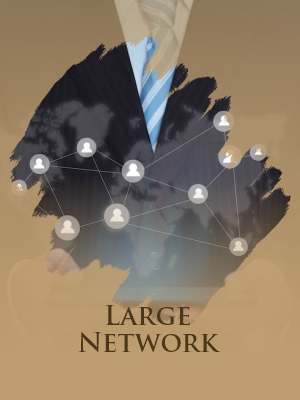 Large Network
